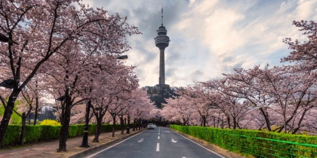 T’way Air Daegu Office in South Korea