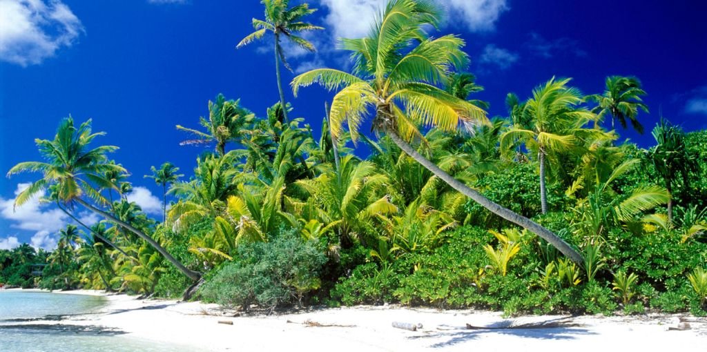 Solomon Airlines Yandina Office in Solomon Islands